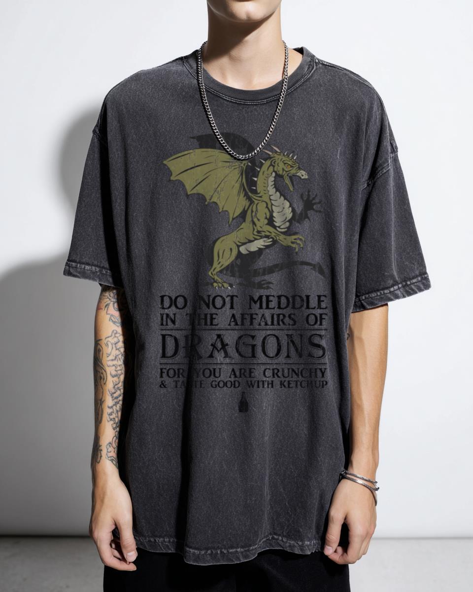 Funny Green Dragon Meddlers T-Shirt - Medieval Fantasy Ketchup Humor