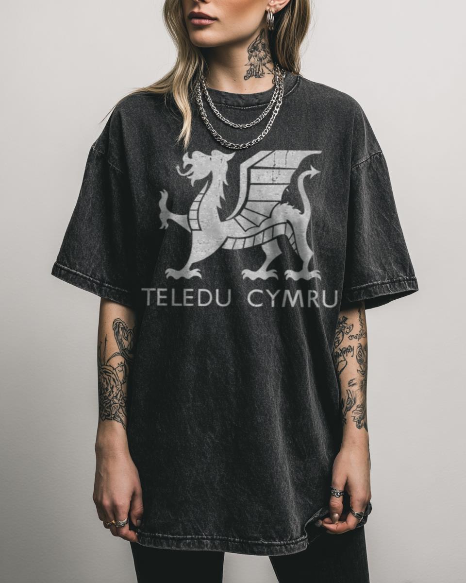 Vintage Teledu Cymru Dragon Ident T-Shirt – Retro Welsh TV Wales History